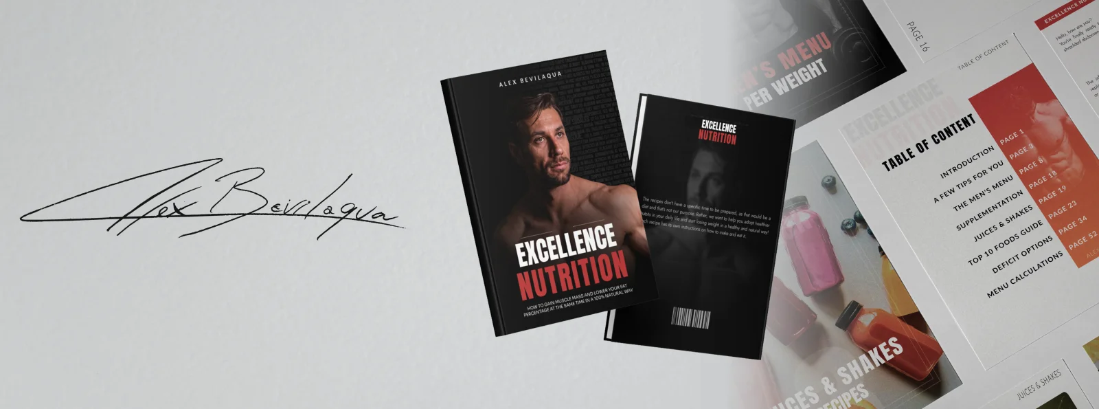 Projeto Alex Bevilaqua